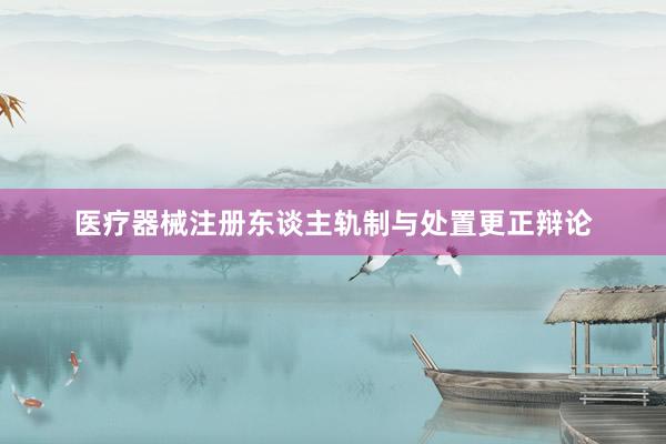 医疗器械注册东谈主轨制与处置更正辩论