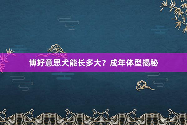 博好意思犬能长多大？成年体型揭秘